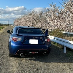 トヨタ　 GT 86  ZN6 平成24年の画像
