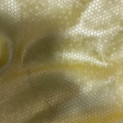 PUMAスポーツバックの画像