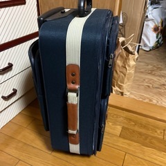 2輪　布生地キャリーの画像