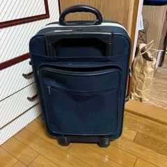 2輪　布生地キャリーの画像