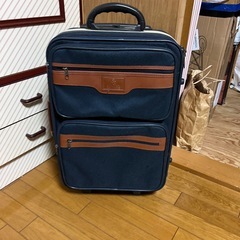 2輪　布生地キャリー