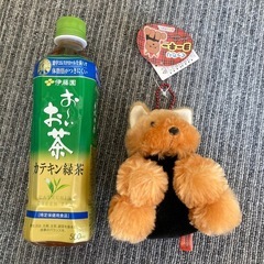 【新品・タグ付き】くったりヨーキー　ぬいぐるみ　マスコット　人気の画像