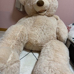 コストコ くまのぬいぐるみの画像