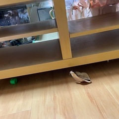 台　の画像