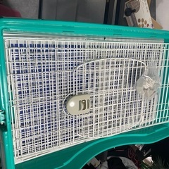 小動物ゲージの画像