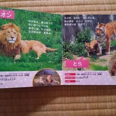 動物園　簡単な図鑑の画像