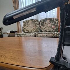 読書用蛍光ランプの画像