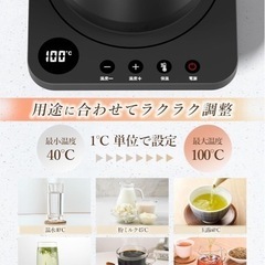 新品未使用 電気ケトル 湯沸かし器 細口 1L 保温機能あり 全国配送可能の画像