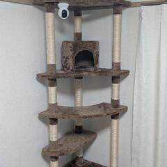 キャットタワー