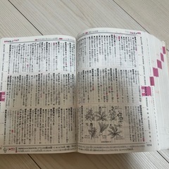 小学校　国語辞典の画像