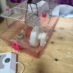 飼育ゲージ