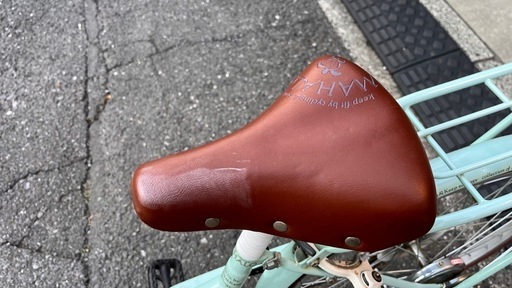 子供用自転車 22インチ　mahalo