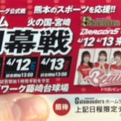 【決まりました】火の国サラマンダーズホーム開幕戦チケット