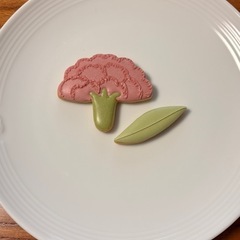 《募集中》※残り4席※4/17(木)ナチュラルアイシングクッキーワークショップの画像