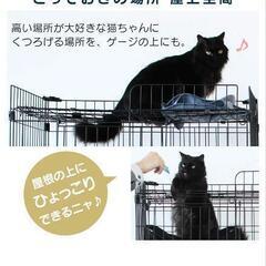 キャットゲージ　アイリスオーヤマ　使用期間2週間　キャットタワーの画像