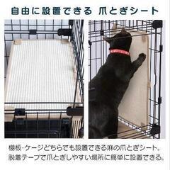 キャットゲージ　アイリスオーヤマ　使用期間2週間　キャットタワーの画像
