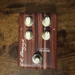 【保管品特価】LR BAGGS Reverb 