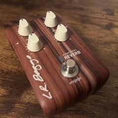 【保管品特価】LR BAGGS Reverb の画像