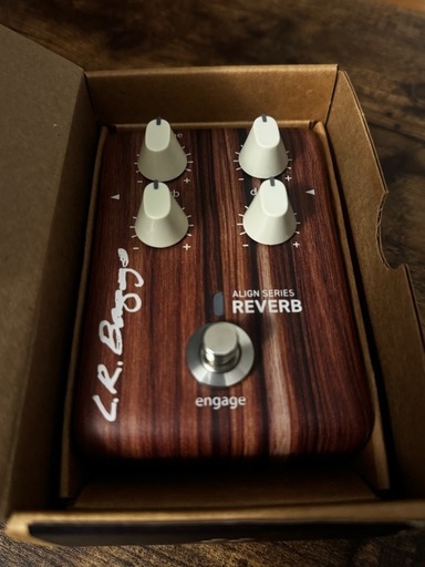 【保管品特価】LR BAGGS Reverb
