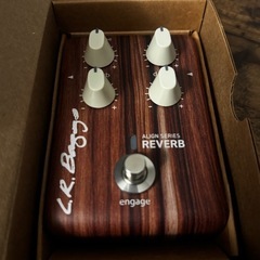 【保管品特価】LR BAGGS Reverb の画像