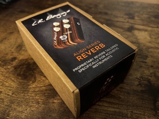 【保管品特価】LR BAGGS Reverb