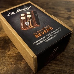 【保管品特価】LR BAGGS Reverb の画像
