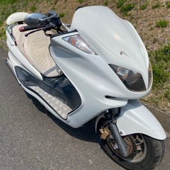 マジェスティ250  実働車