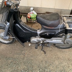 リトルカブ