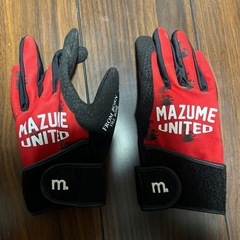 フィッシンググローブ