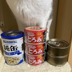 猫のおやつ