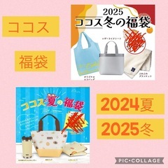 ココス 福袋 2024 夏 2025 冬 まとめ売り セット