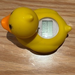 温度計　アヒル