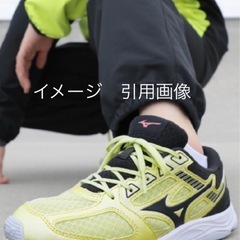 22cm　ミズノ　ジュニア スニーカーキッズ子供靴 mizuno スピード スタッズ3　ひも靴の画像