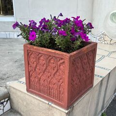 ペチュニアが咲いてるゴシック調テラコッタプランター（角型）／店舗改装・新築建て替えに伴い、装飾品・備品・家具を譲渡いたしますの画像