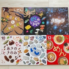【美品】絵本12冊セットの画像