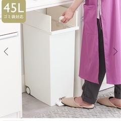 KEYUKA ケユカ　両開きダストボックス LL（42L）ホワイ...