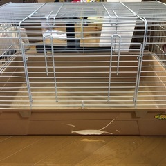 小動物系大型ゲージ