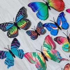 蝶 インテリアに❁⃘*.ﾟルームデコレーションの画像