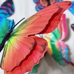 蝶 インテリアに❁⃘*.ﾟルームデコレーションの画像