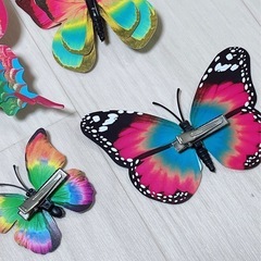 蝶 インテリアに❁⃘*.ﾟルームデコレーションの画像