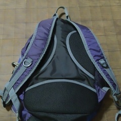 Coleman🔴リュックの画像