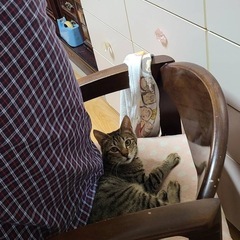 ベッタリ甘えん坊のポップ君 − 兵庫県