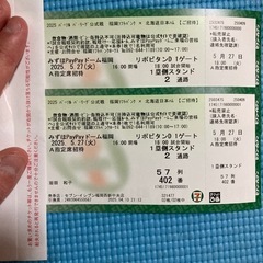 ジゴロックチケット19日20日の2日券