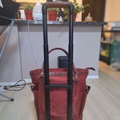 お買い物バッグ　nissenの画像
