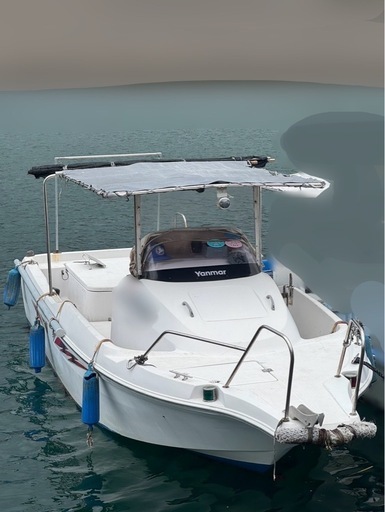 ヤンマードライブ船