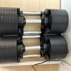フレックスベル32kg(2kg刻み)の画像