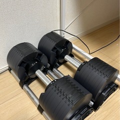 フレックスベル32kg(2kg刻み)の画像