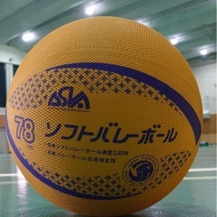 ソフトバレーのメンバー募集！！の画像