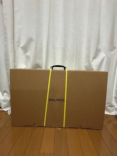 バルミューダ　ホットプレート本体