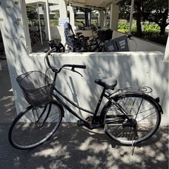 自転車　本体　の画像